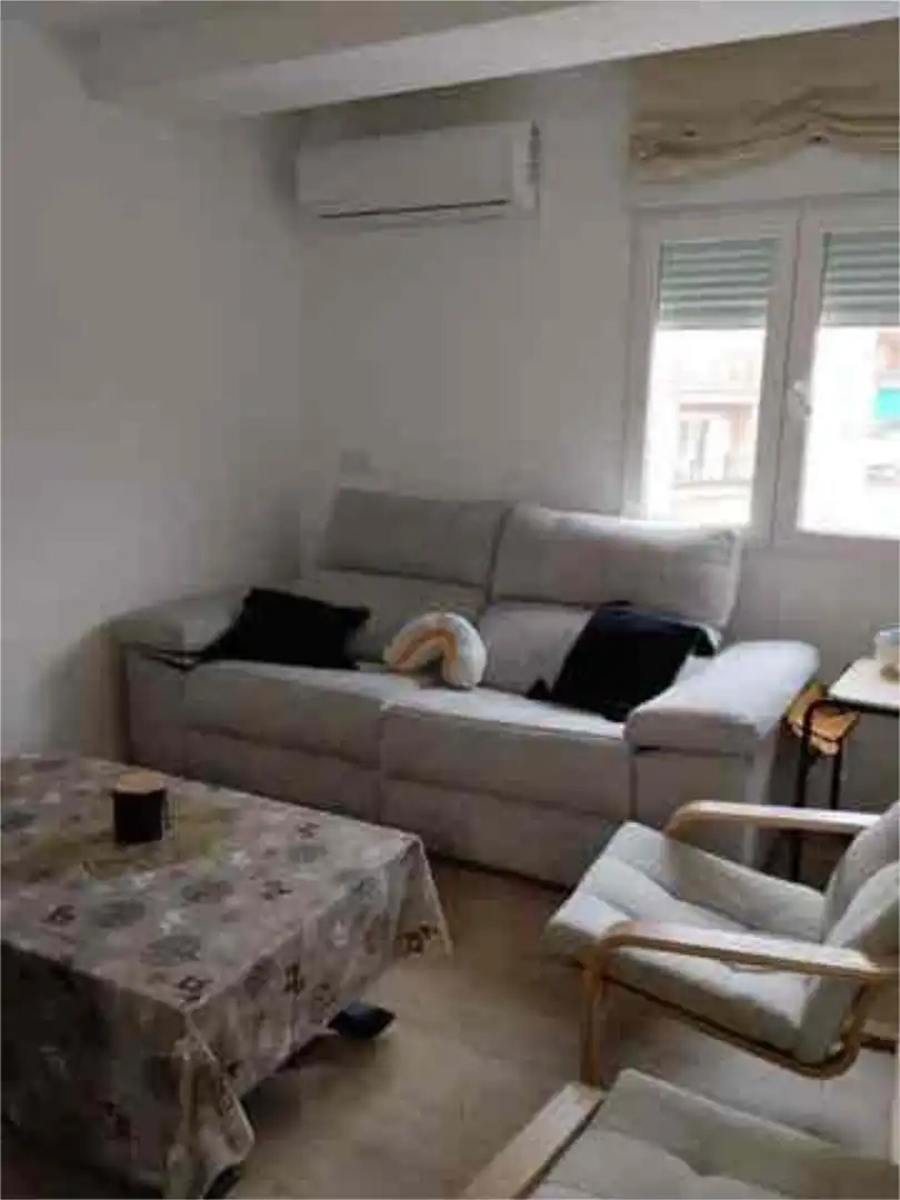 Living room of Flat for rent in Málaga Capital  with Heating, Terrace and Furnished