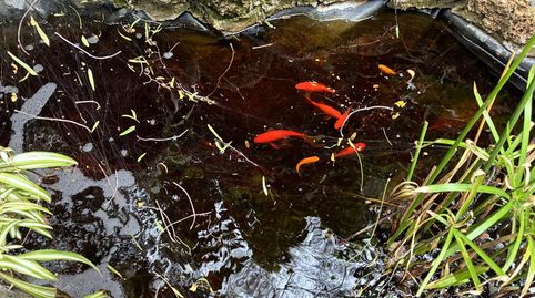 Foto 2 de Casa adosada en venta en Calle Vicacaro, 6, Granadilla de Abona ciudad, Granadilla de Abona