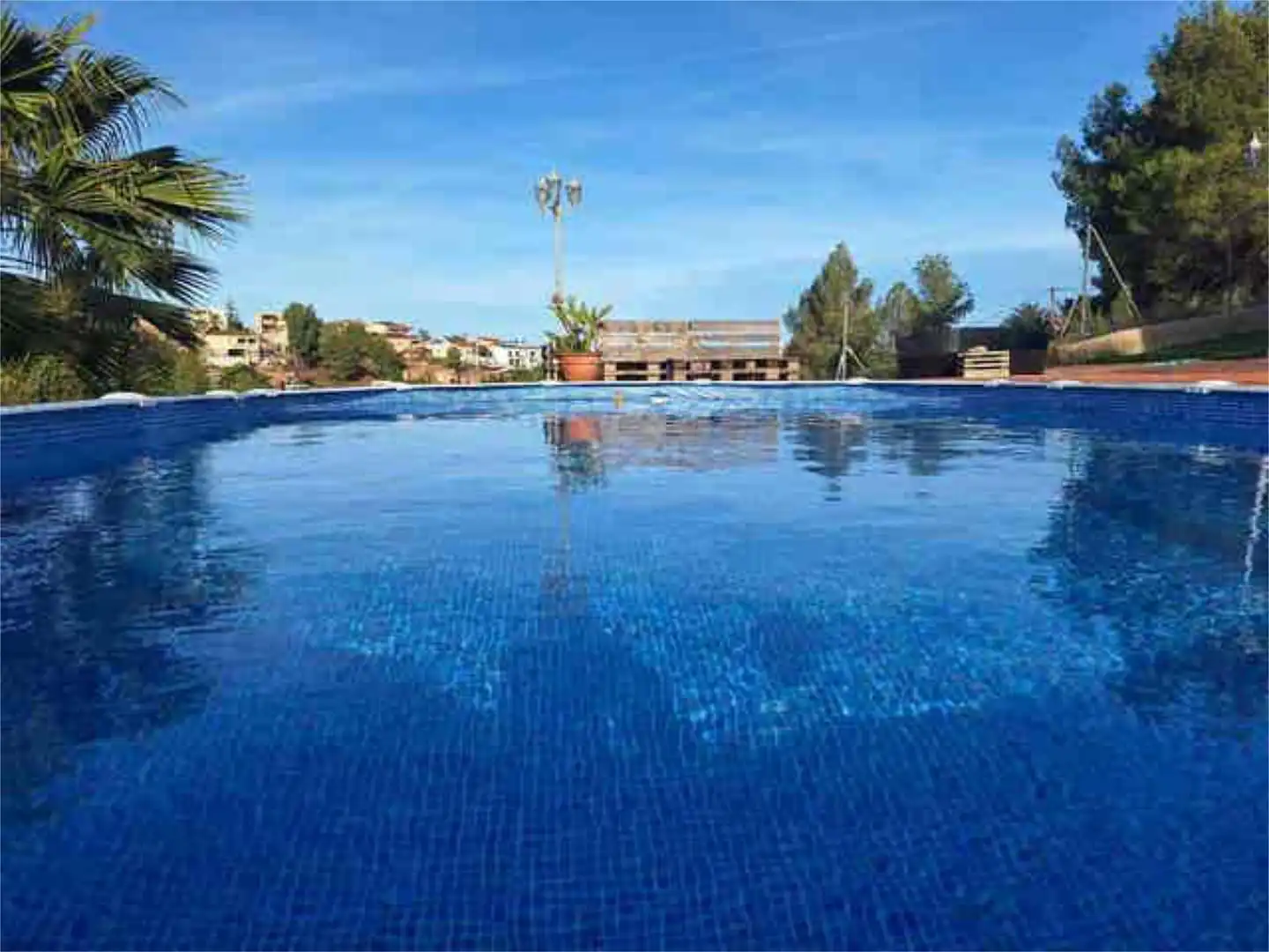 Swimming pool of Detached homes for rent in Alginet
