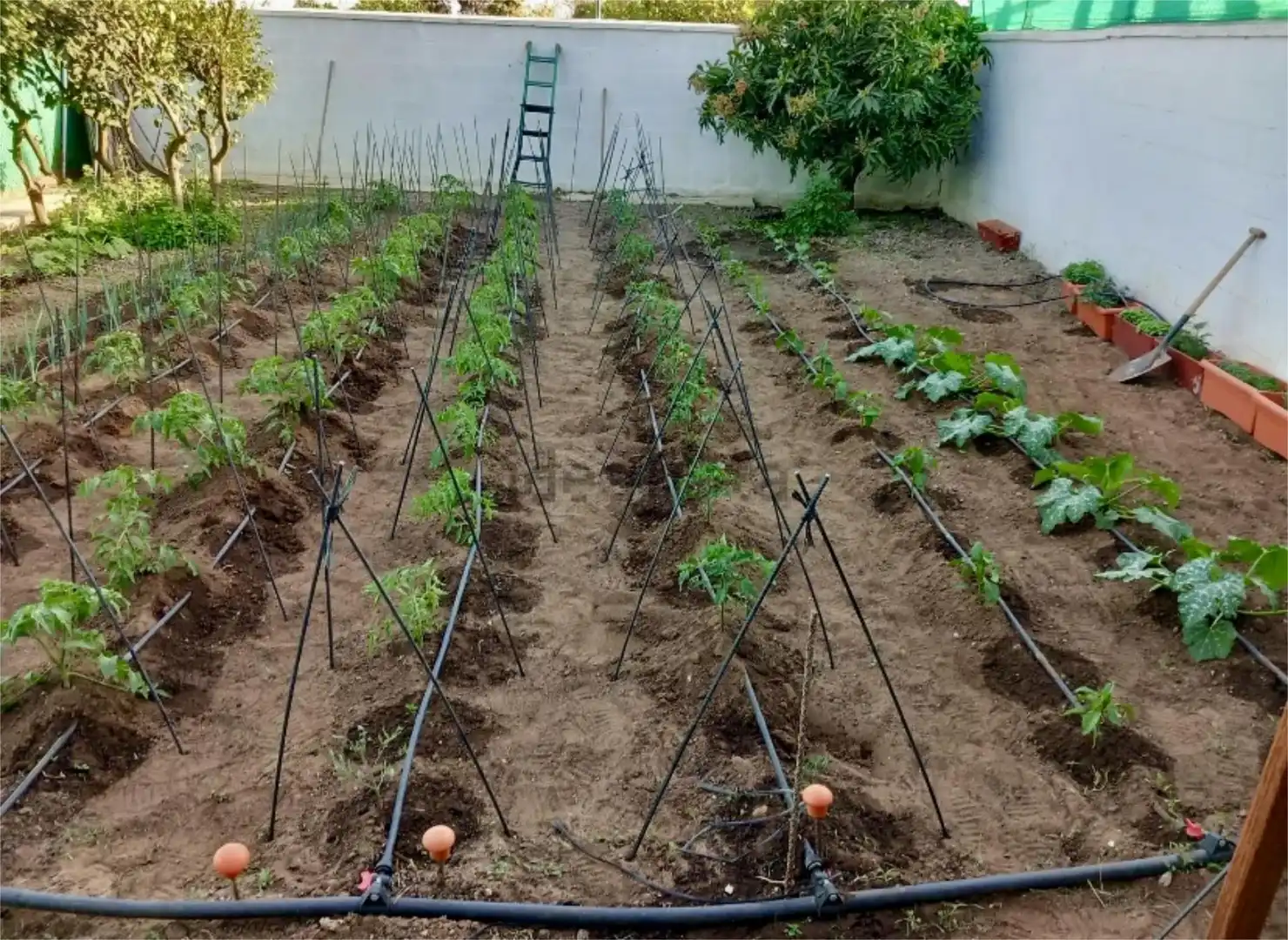 Jardí de Casa o xalet en venda en El Puerto de Santa María amb Aire condicionat, Jardí privat i Terrassa