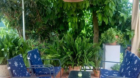 Photo 5 of Houses for sale in Calle Dúrcal, 1, El Juncal - Vallealto, El Puerto de Santa María