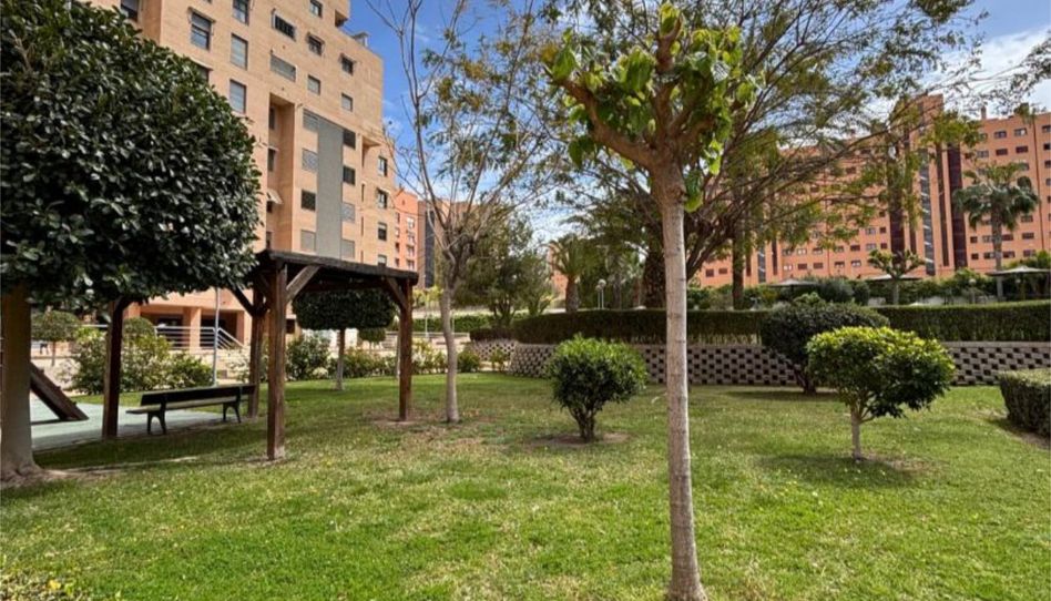 Flat for rent in Carrer Científico Jaime Santana, 7, Playa de San Juan, Alicante / Alacant - image 1 Photo 1 of Flat for rent in Carrer Científico Jaime Santana, 7, Playa de San Juan, Alicante / Alacant