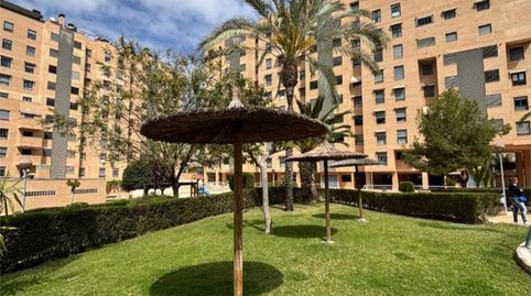 Flat for rent in Carrer Científico Jaime Santana, 7, Playa de San Juan, Alicante / Alacant - image 3 Photo 3 of Flat for rent in Carrer Científico Jaime Santana, 7, Playa de San Juan, Alicante / Alacant