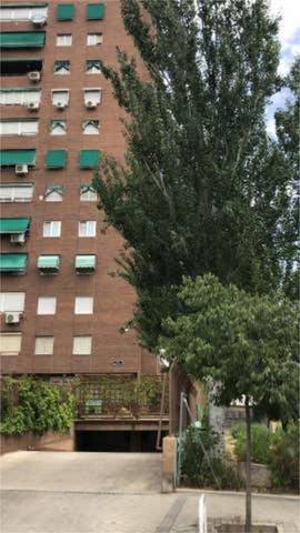 Garaje en Alquiler en Media Legua