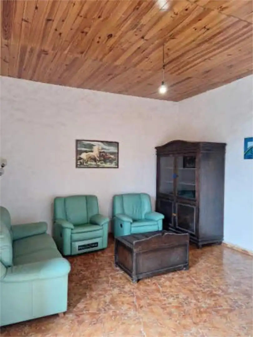 Sala de estar de Casa o chalet en venta en Ingenio con Terraza