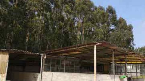 Photo 4 of Industrial buildings for rent in Llaranes, Avilés