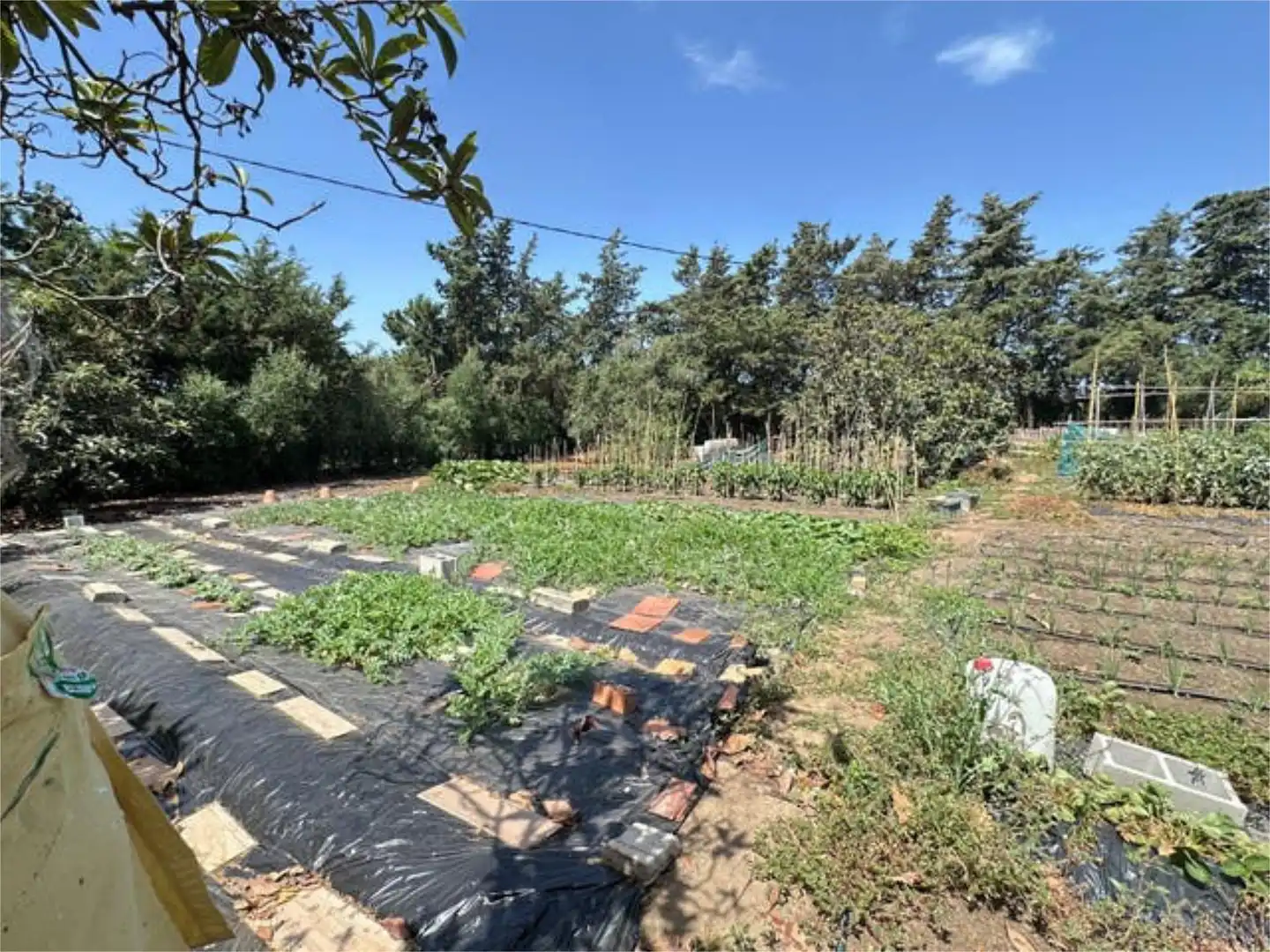Casa adosada en venta en Pelagatos - Pago del Humo Casa adosada en venta en Chiclana de la Frontera con Jardín privado, Terraza y Trastero