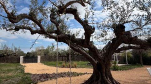 Foto 2 de Casa o chalet en venta en Nulles, Tarragona