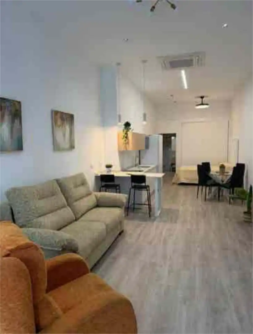 Sala d'estar de Apartament de lloguer en Málaga Capital