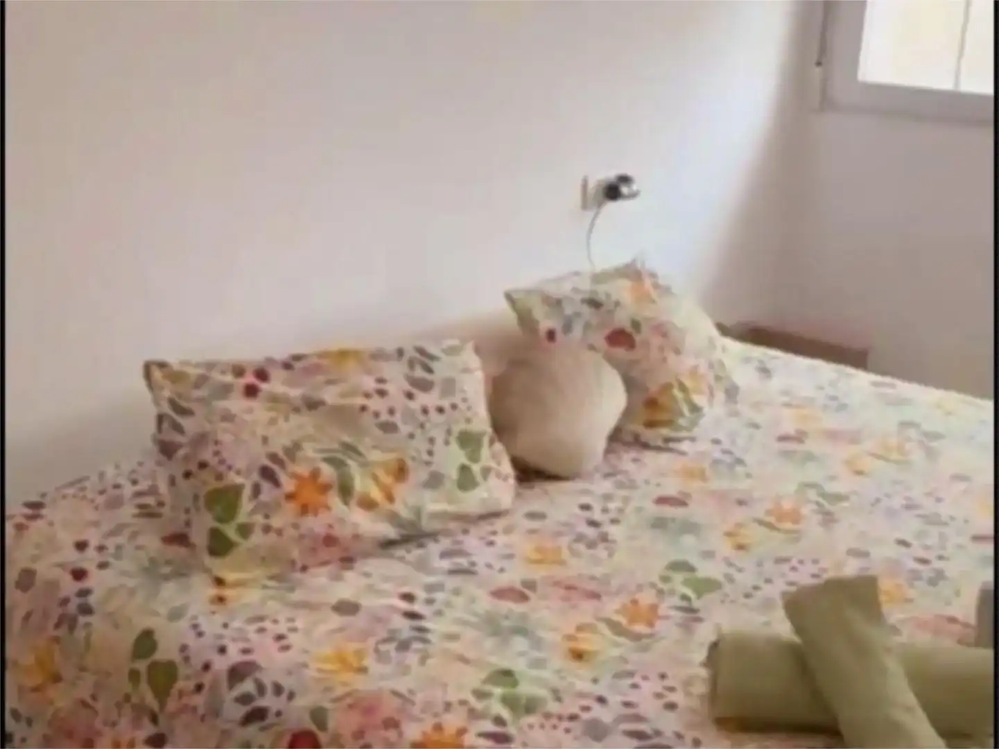 Flat for sale in Calle de la Virgen de las Nieves, 16, Zona media Bedroom of Flat for sale in Sierra Nevada