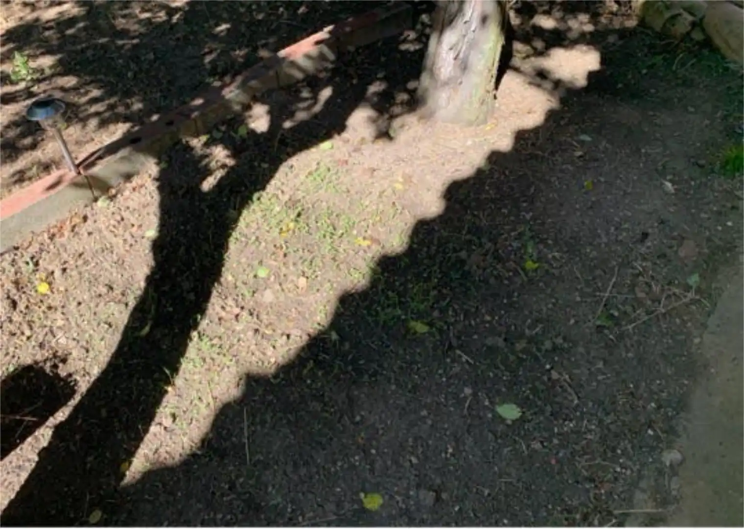 Jardí de Casa o xalet en venda en Villafrades de Campos amb Jardí privat