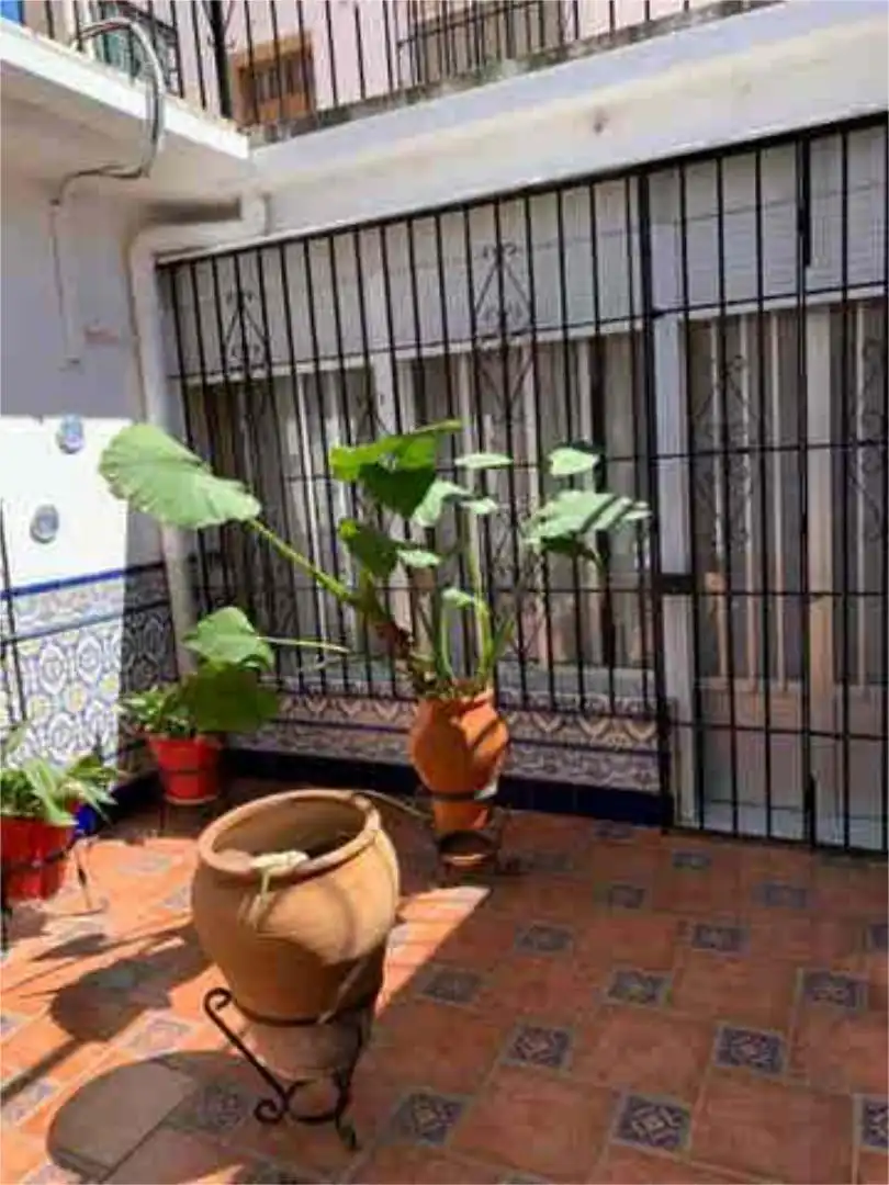 Jardín de Casa o chalet en venta en La Luisiana