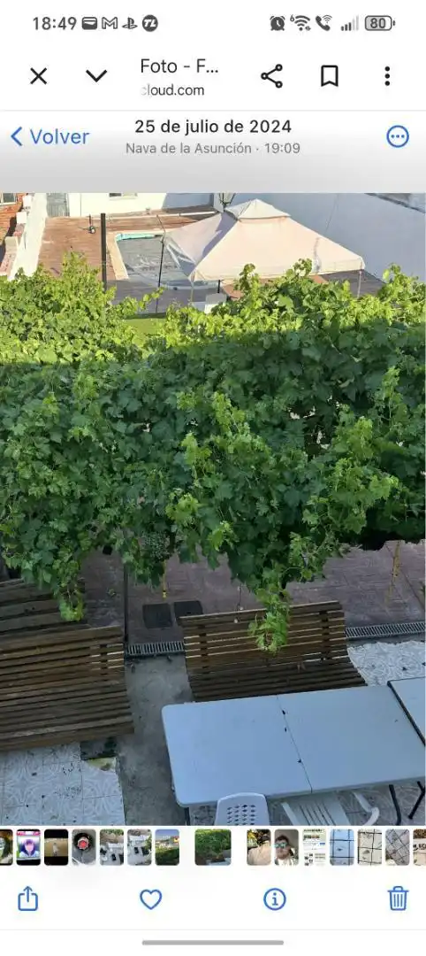 Casa o chalet en venta en Camino del Río, 15, Nava de la Asunción Jardín de Casa o chalet en venta en Nava de la Asunción con Calefacción, Jardín privado y Parquet