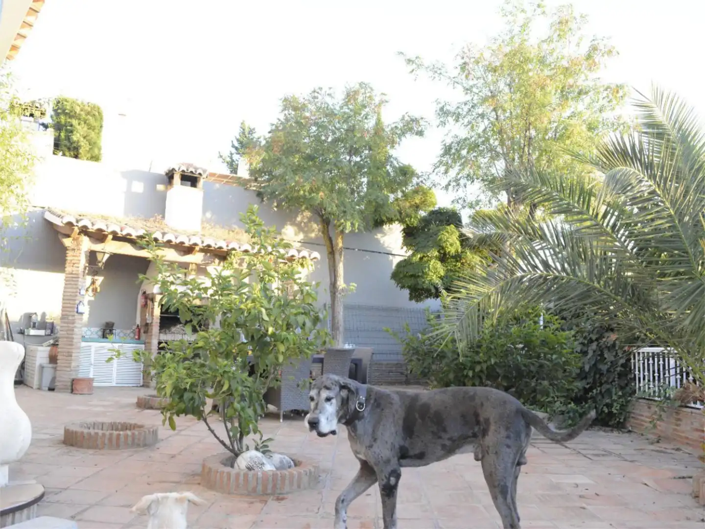 Casa o chalet en venta en Calle Betis, 2, Barrio de la Vega Jardín de Casa o chalet en venta en Monachil con Aire acondicionado, Terraza y Piscina