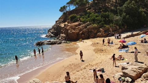 Apartments for sale in Urbanitzacio de Rosamar, 294, Rosamar, Santa Cristina d'Aro - image 4 Photo 4 of Apartments for sale in Urbanitzacio de Rosamar, 294, Rosamar, Santa Cristina d'Aro