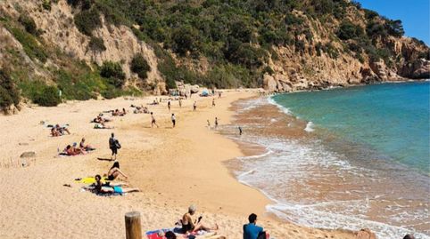 Apartments for sale in Urbanitzacio de Rosamar, 294, Rosamar, Santa Cristina d'Aro - image 5 Photo 5 of Apartments for sale in Urbanitzacio de Rosamar, 294, Rosamar, Santa Cristina d'Aro