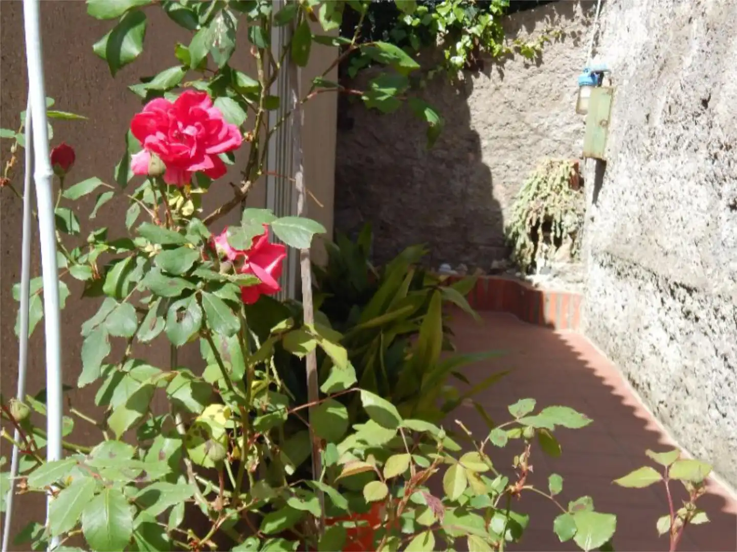 Casa o xalet en venda a Carrer Pujada de la Selva, 1, Sant Vicenç Dels Horts Jardí de Casa o xalet en venda en Sant Vicenç Dels Horts amb Aire condicionat, Terrassa i Piscina