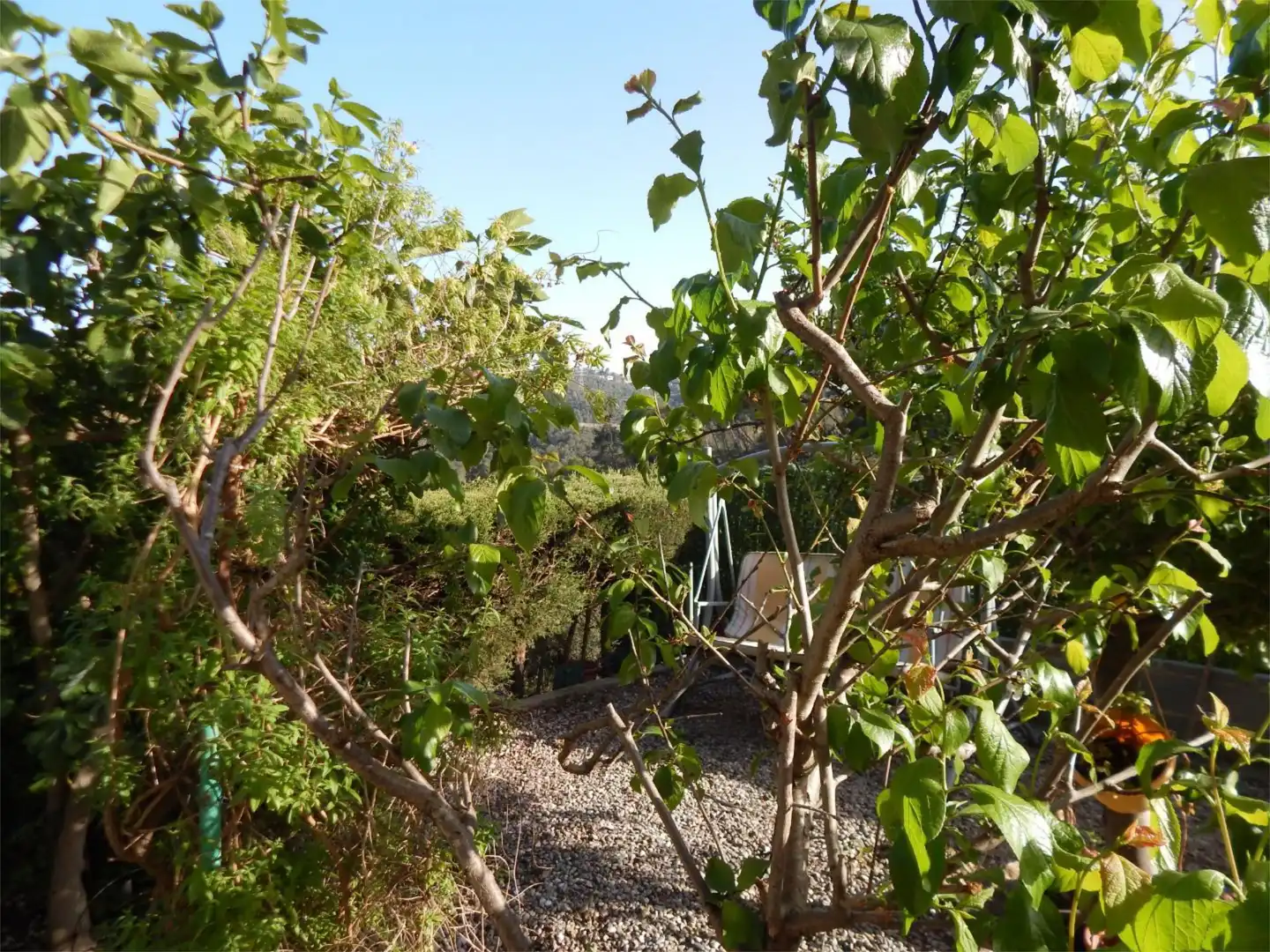 Casa o xalet en venda a Carrer Pujada de la Selva, 1, Sant Vicenç Dels Horts Jardí de Casa o xalet en venda en Sant Vicenç Dels Horts amb Aire condicionat, Terrassa i Piscina
