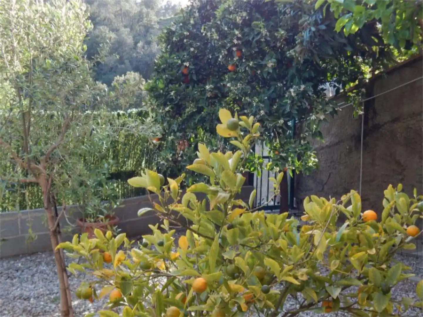 Casa o xalet en venda a Carrer Pujada de la Selva, 1, Sant Vicenç Dels Horts Jardí de Casa o xalet en venda en Sant Vicenç Dels Horts amb Aire condicionat, Terrassa i Piscina