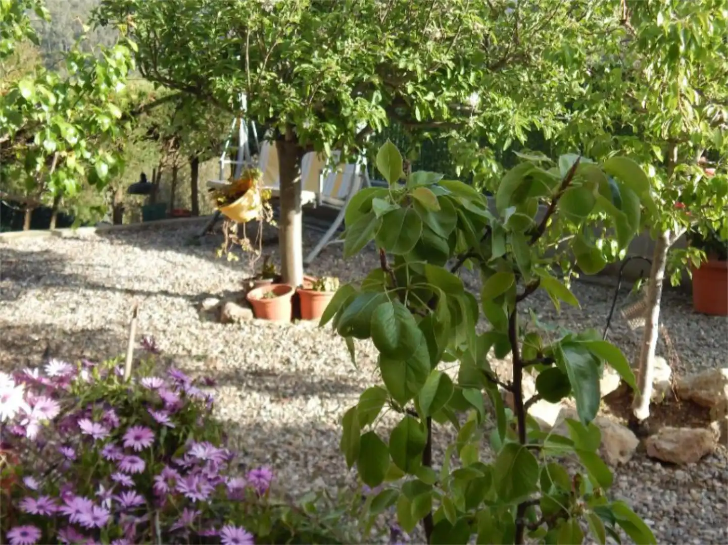 Casa o xalet en venda a Carrer Pujada de la Selva, 1, Sant Vicenç Dels Horts Jardí de Casa o xalet en venda en Sant Vicenç Dels Horts amb Aire condicionat, Terrassa i Piscina