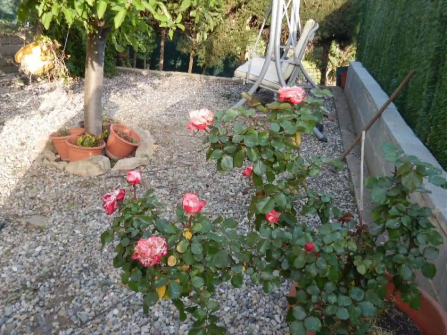 Casa o xalet en venda a Carrer Pujada de la Selva, 1, Sant Vicenç Dels Horts Jardí de Casa o xalet en venda en Sant Vicenç Dels Horts amb Aire condicionat, Terrassa i Piscina