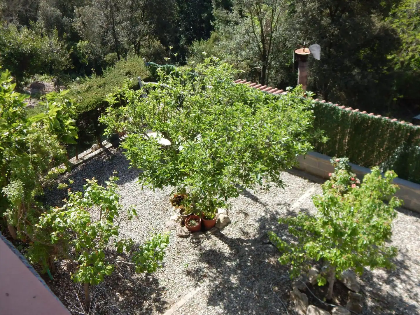 Casa o xalet en venda a Carrer Pujada de la Selva, 1, Sant Vicenç Dels Horts Jardí de Casa o xalet en venda en Sant Vicenç Dels Horts amb Aire condicionat, Terrassa i Piscina