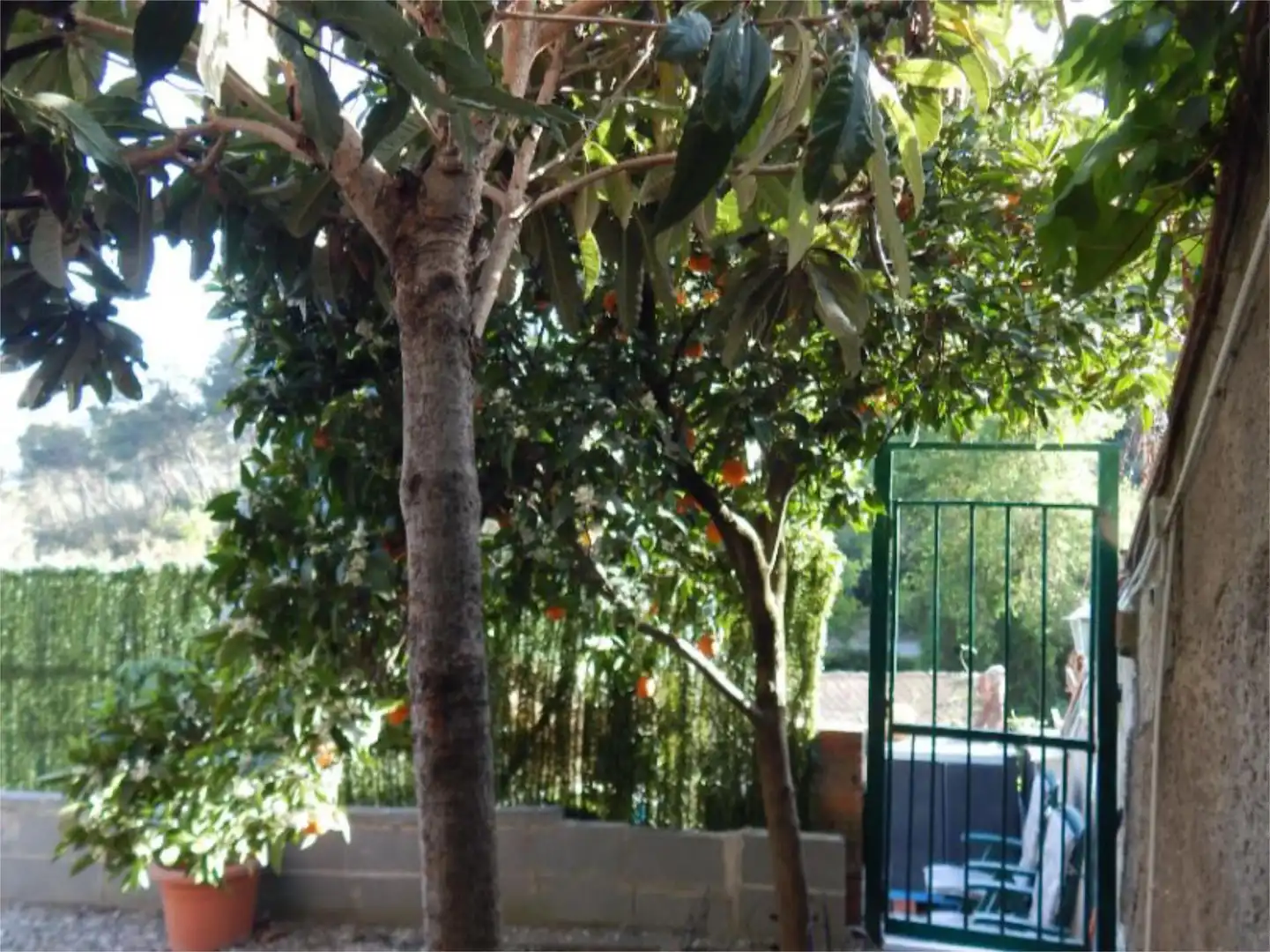 Casa o xalet en venda a Carrer Pujada de la Selva, 1, Sant Vicenç Dels Horts Jardí de Casa o xalet en venda en Sant Vicenç Dels Horts amb Aire condicionat, Terrassa i Piscina