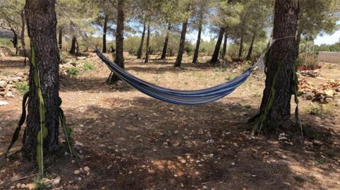 Foto 2 de Finca rústica en venda a Passeig de I'almadrava, 13, Vandellòs i l'Hospitalet de l'Infant, Tarragona