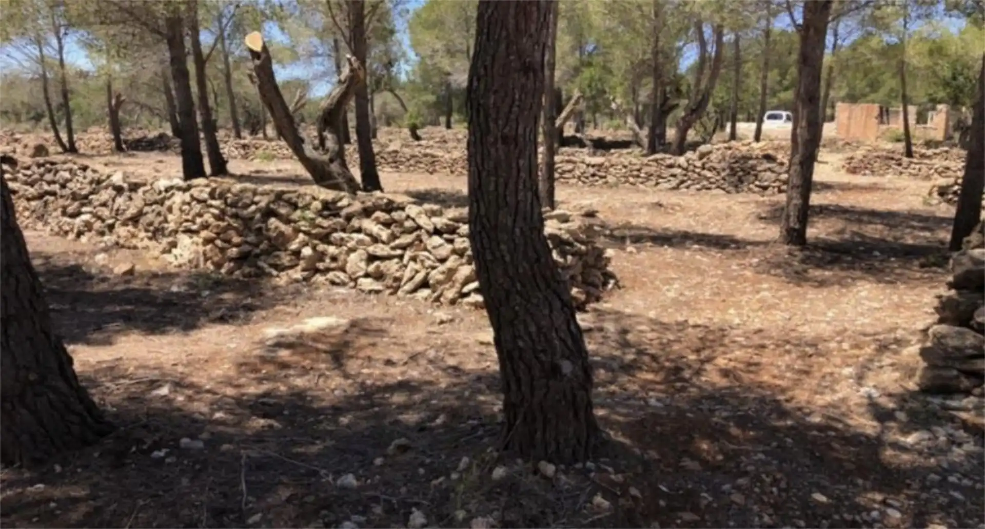 Finca rústica en venda a Passeig de I'Almadrava, 13, Vandellòs i l'Hospitalet de l'Infant Finca rústica en venda en Vandellòs i l'Hospitalet de l'Infant amb Jardí privat