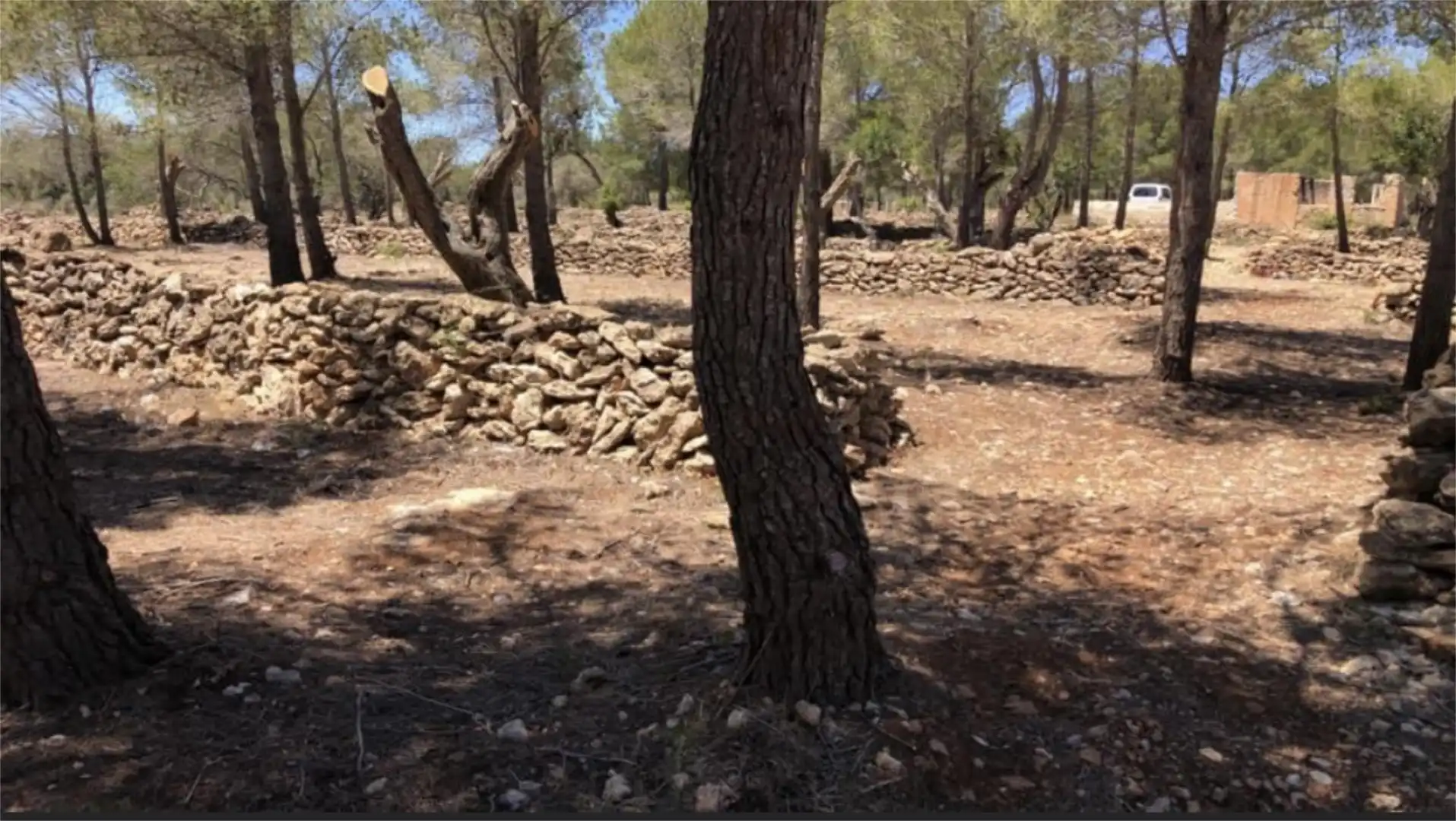 Finca rústica en venda en Vandellòs i l'Hospitalet de l'Infant amb Jardí privat