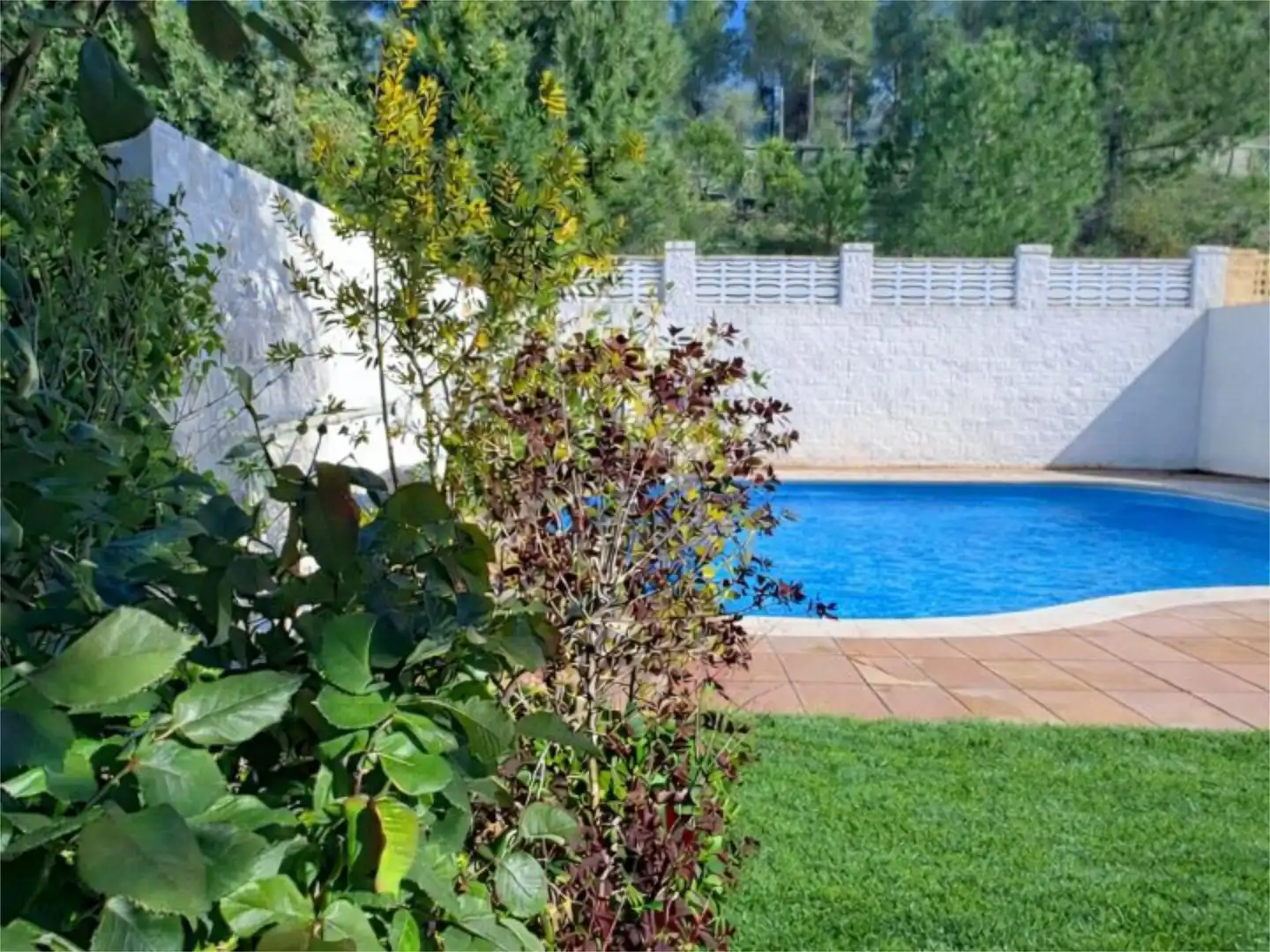 Piscina de Casa o chalet en venta en Rivas-Vaciamadrid con Aire acondicionado, Calefacción y Jardín privado
