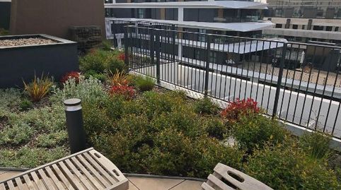 Foto 4 de Àtic de lloguer a Calle de Alejandro Dumas, 40, Imperial, Madrid Capital