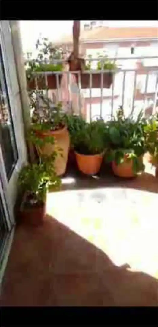 Jardín de Casa o chalet en venta en Castellanos de Moriscos con Terraza
