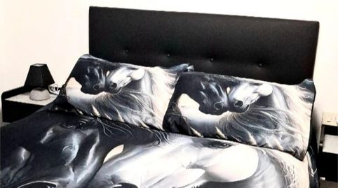 Foto 2 de Piso de alquiler en Rúa Mestre Piquero, 1, Sarria, Lugo