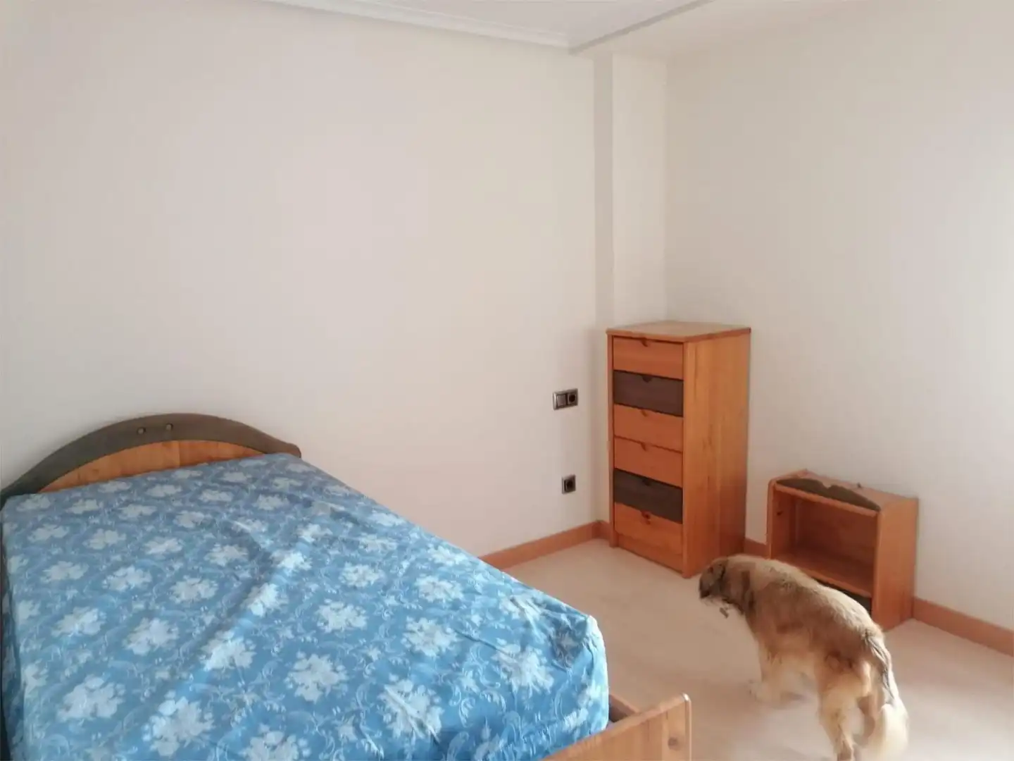 Flat for rent in Calle Duques de Nájera, 39, Jesuitas Flat for rent in Calle Duques de Nájera, 39, Jesuitas