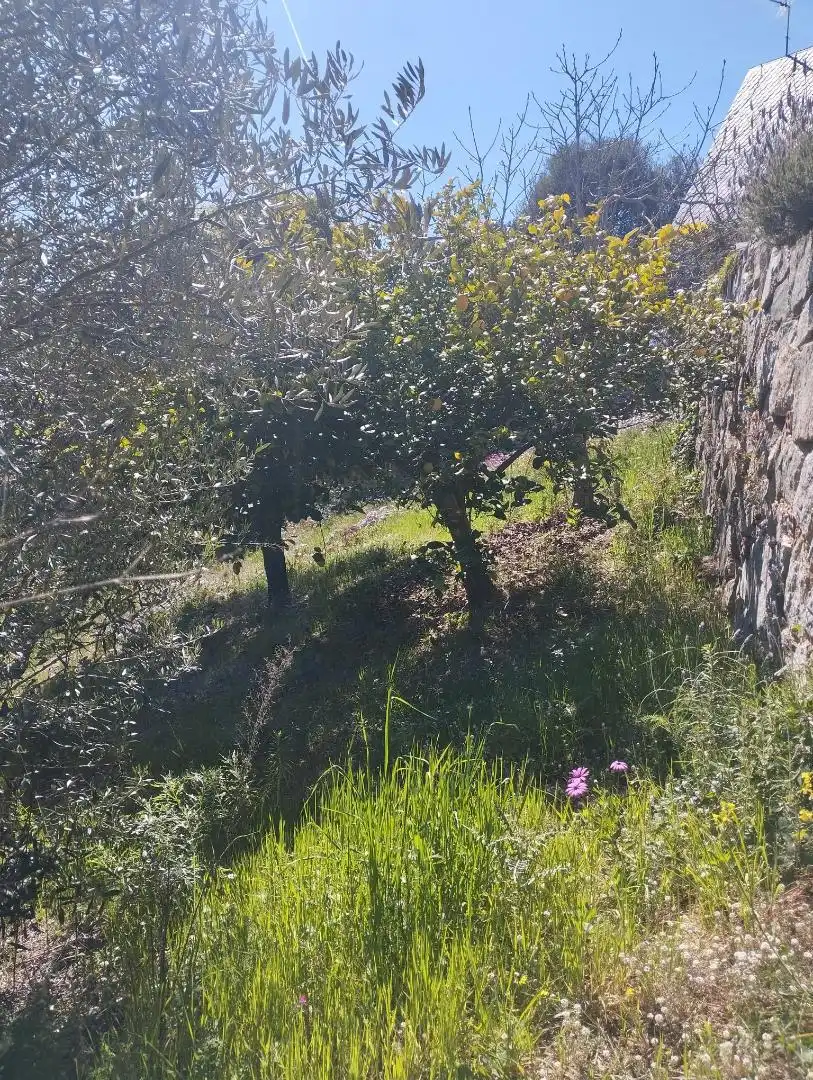 Apartamento de alquiler en Carrer Maresme, 170, Sant Cebrià de Vallalta