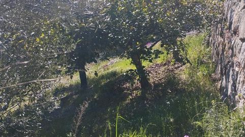 Foto 5 de Apartamento de alquiler en Carrer Maresme, 170, Sant Cebrià de Vallalta, Barcelona