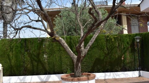 Foto 5 von Wohnung zum Verkauf in Urbanizacion Los Lagos, 539, Alginet, Valencia