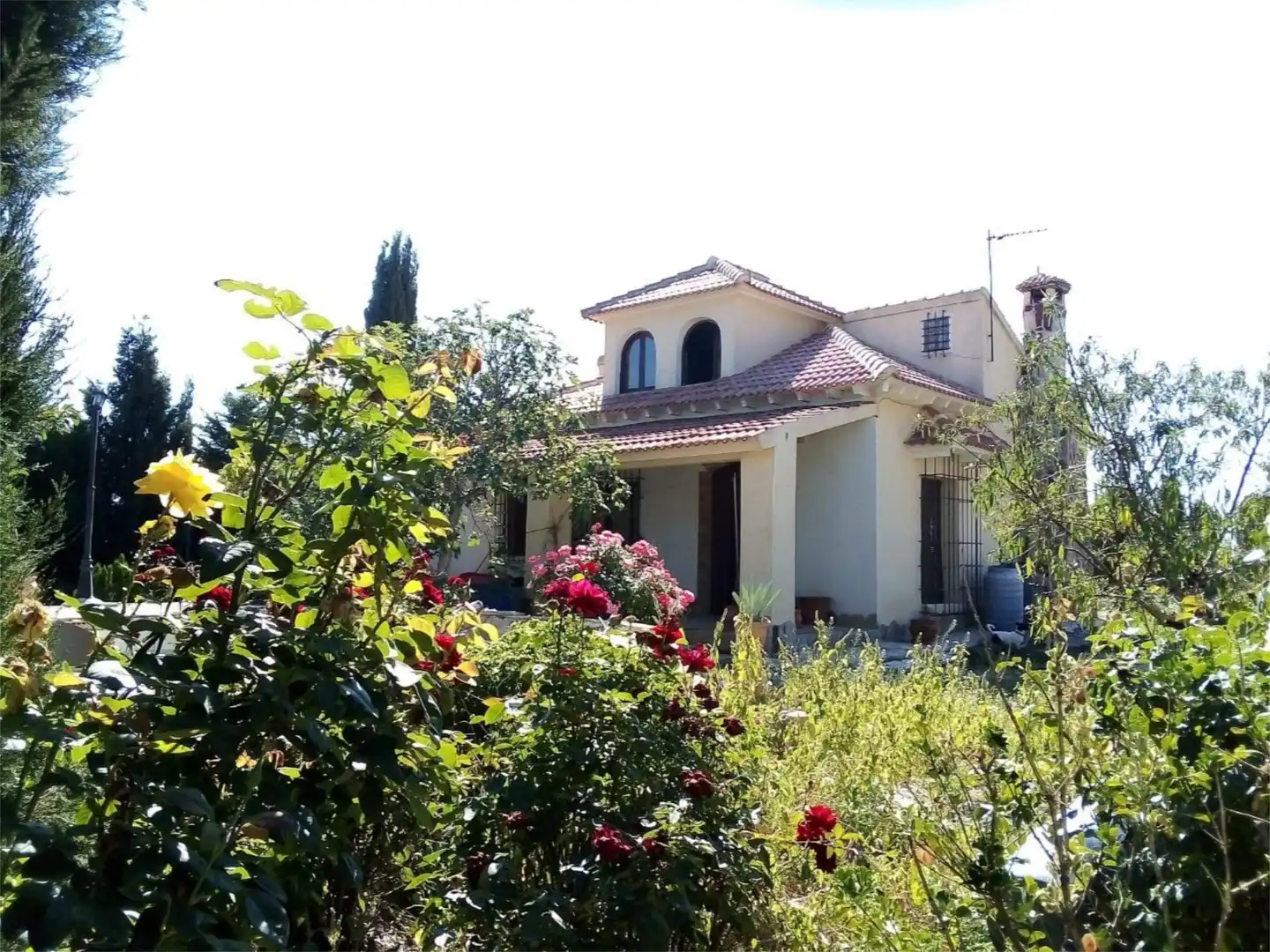 Country homes for sale in Calle Camino del Campo, 9, Puebla de Don Fadrique Garden of Country homes for sale in Puebla de Don Fadrique with Terrace