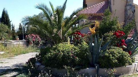 Photo 3 of Country homes for sale in Calle Camino del Campo, 9, Puebla de Don Fadrique, Granada