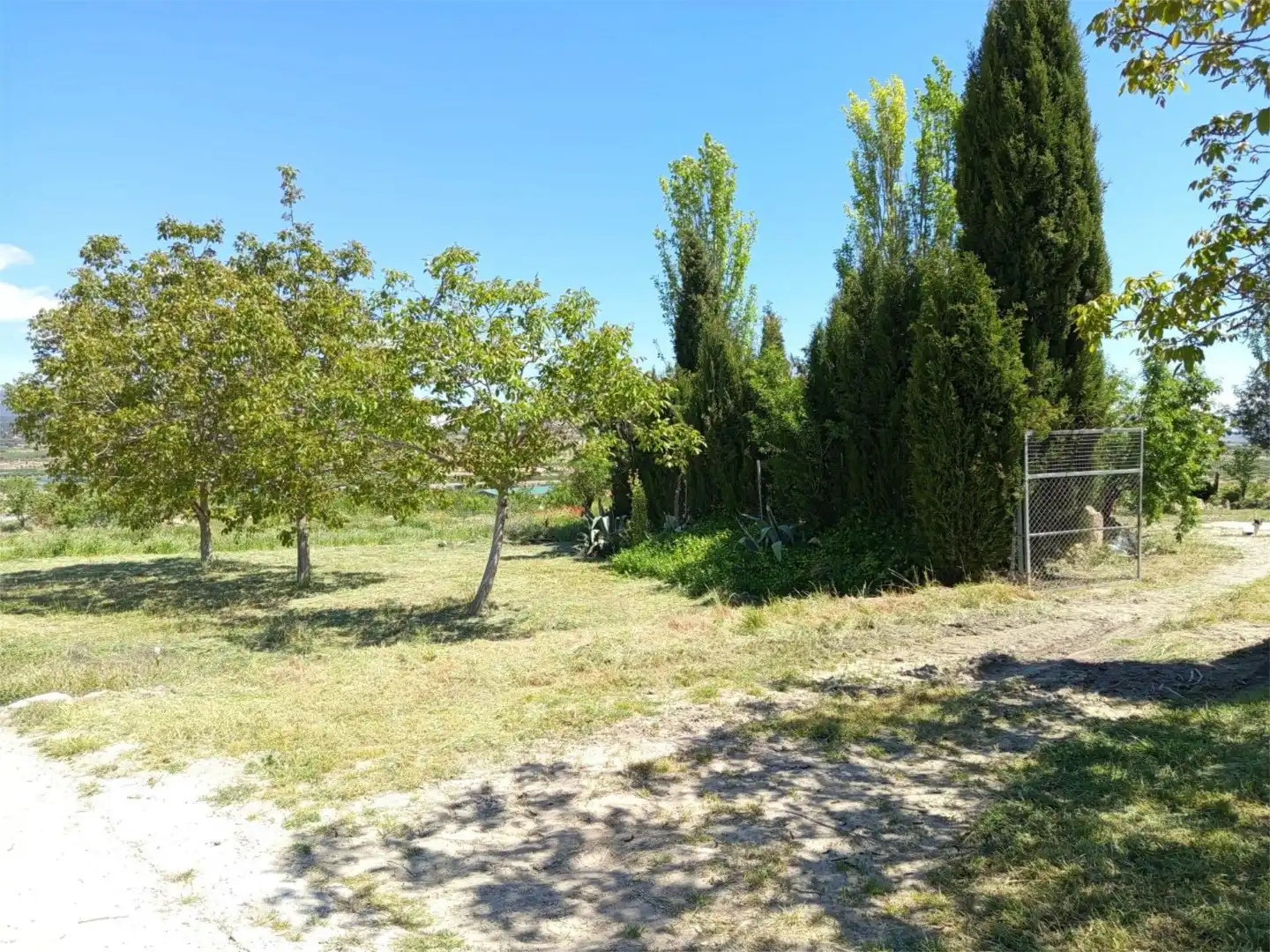 Country homes for sale in Calle Camino del Campo, 9, Puebla de Don Fadrique Country homes for sale in Puebla de Don Fadrique with Terrace