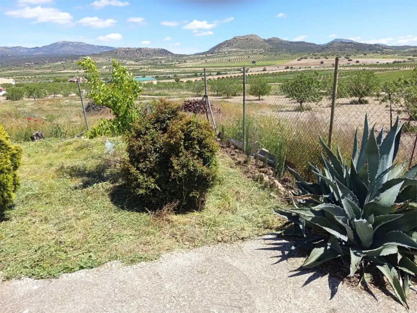 Country homes for sale in Calle Camino del Campo, 9, Puebla de Don Fadrique Country homes for sale in Puebla de Don Fadrique with Terrace