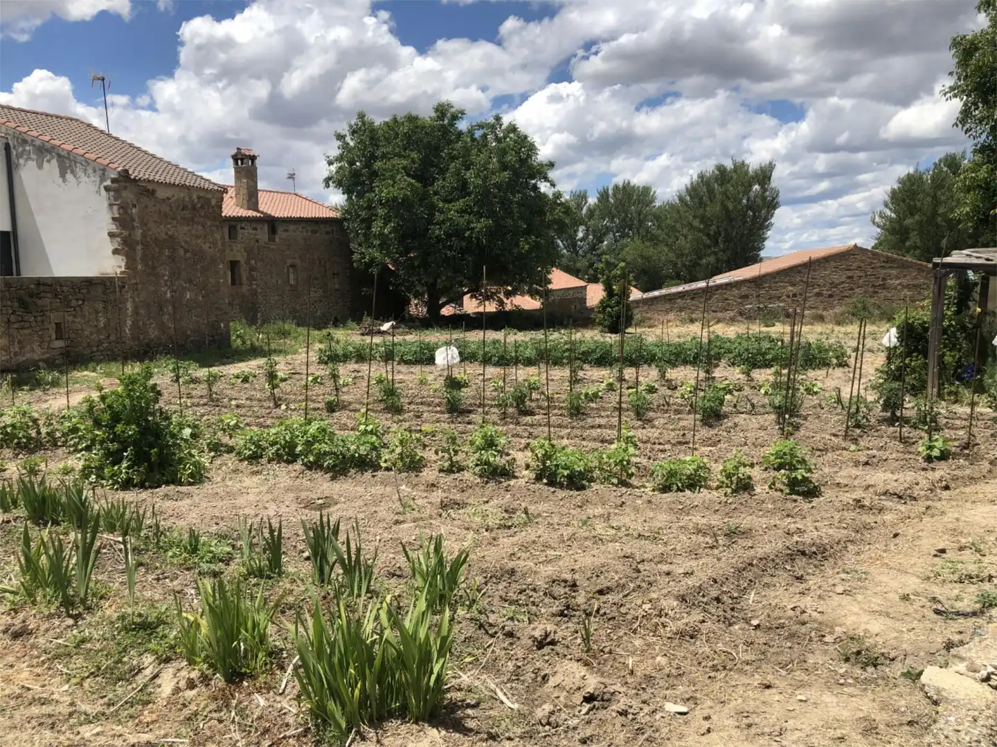 Terreno en venta en Calle Real, 11, Aldealices Terreno en venta en Aldealices