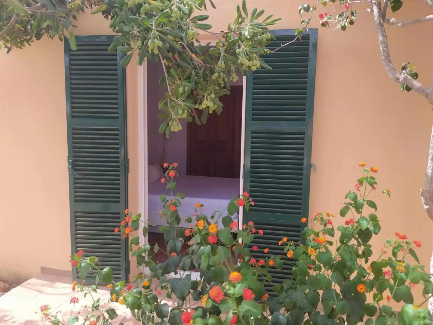 Casa adosada de alquiler en Carrer Rosa Dles Vent, 7, Cala d'en Bosch - Serpentona Jardín de Casa adosada de alquiler en Ciutadella de Menorca con Aire acondicionado, Calefacción y Jardín privado
