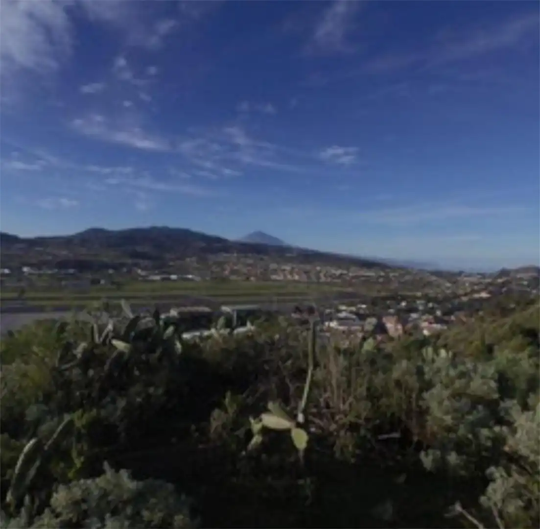 Exterior view of Ground floor for sale in San Cristóbal de la Laguna  with Private garden