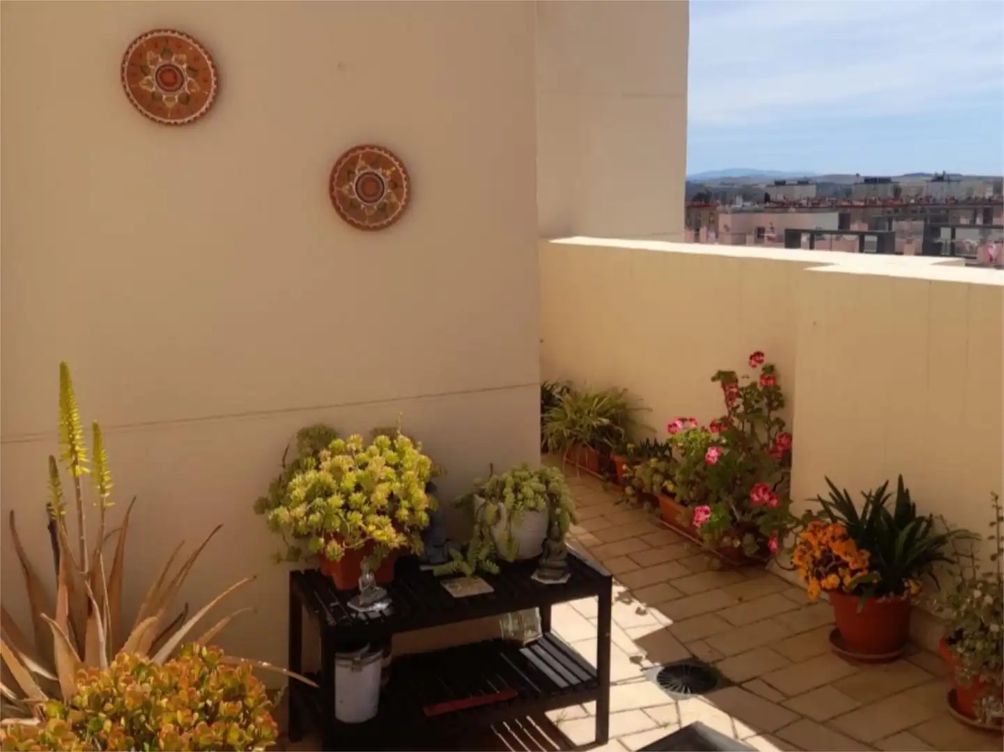 Flat for rent in Calle Cobre, 30, Caballero Bonald - San José Obrero - Guadalcacín Flat for rent in Calle Cobre, 30, Caballero Bonald - San José Obrero - Guadalcacín