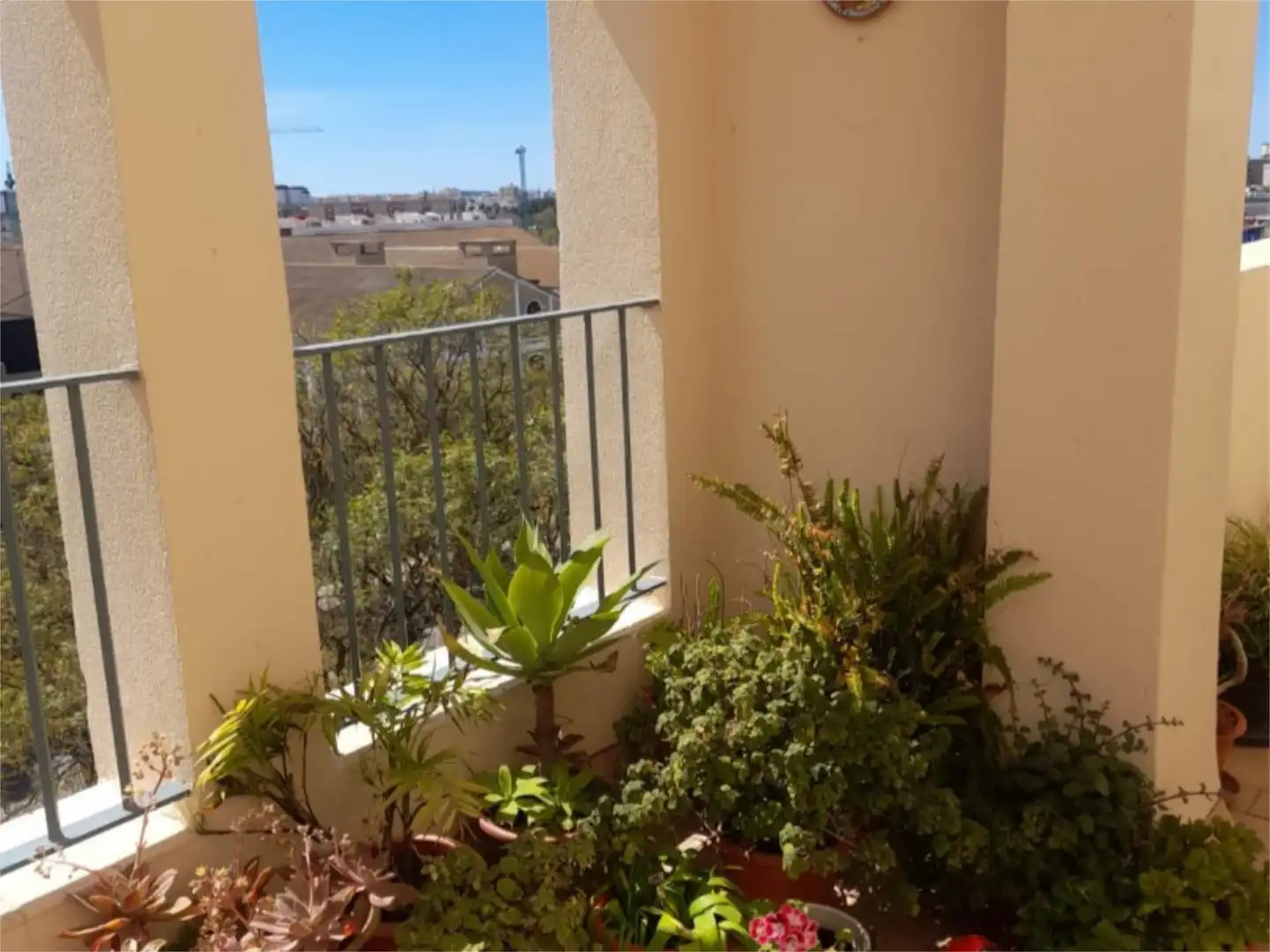 Flat for rent in Calle Cobre, 30, Caballero Bonald - San José Obrero - Guadalcacín Flat for rent in Calle Cobre, 30, Caballero Bonald - San José Obrero - Guadalcacín