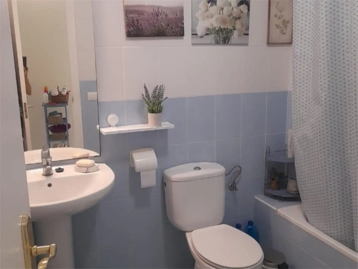 Flat for rent in Calle Cobre, 30, Caballero Bonald - San José Obrero - Guadalcacín Flat for rent in Calle Cobre, 30, Caballero Bonald - San José Obrero - Guadalcacín
