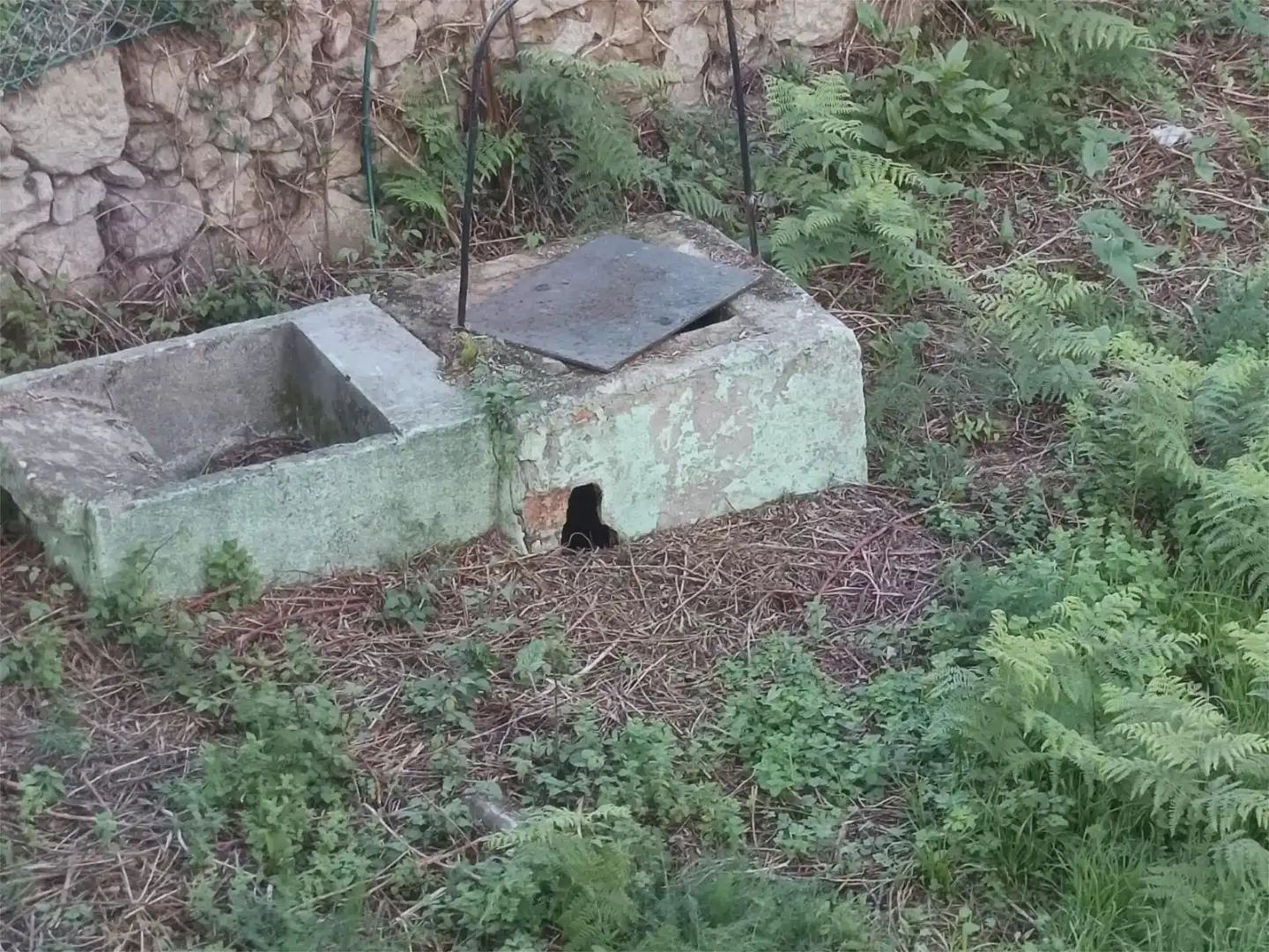 Casa o xalet en venda a Casas Novas, 6, La Seca - Los Salgueriños Vista exterior de Casa o xalet en venda en Pontevedra Capital amb Terrassa i Balcó