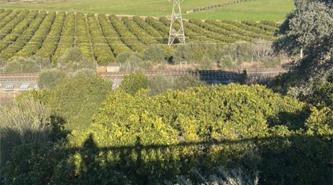 Foto 3 de Casa o chalet en venta en Calle del Acebo, 22, Palma del Río, Córdoba